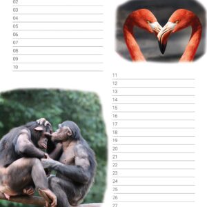 Verjaardagskalender 'Animals in Love' December