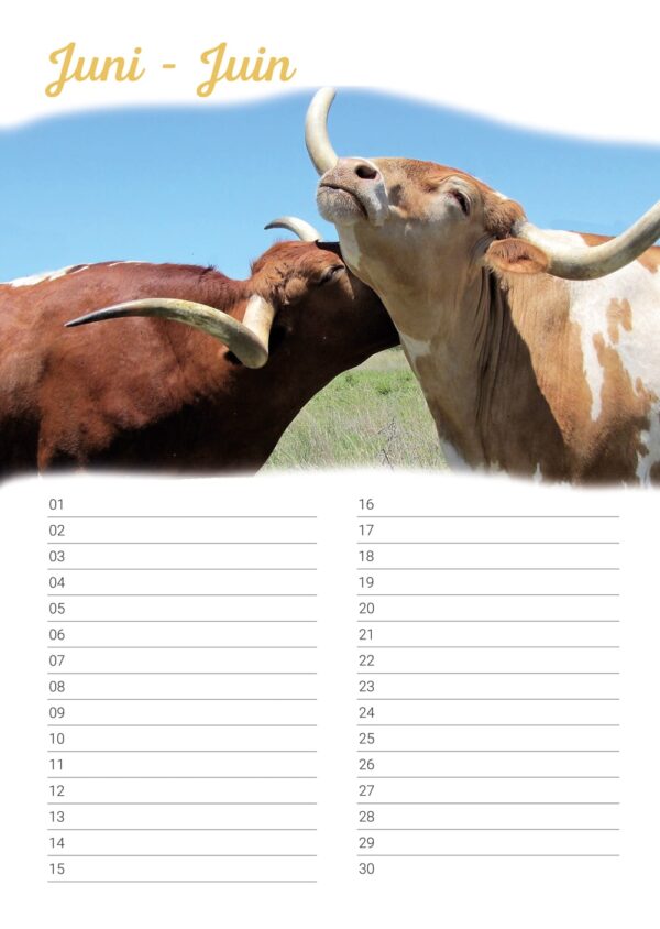 Verjaardagskalender 'Animals in Love' Juni