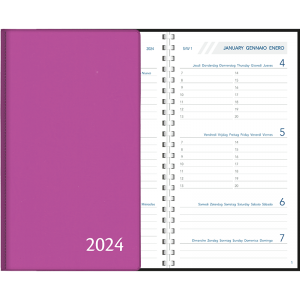 Agenda Visuplan 2024 perl - purper