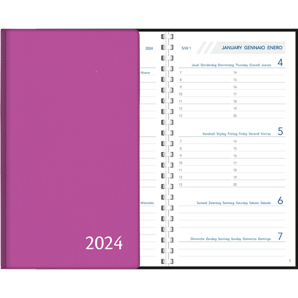 Agenda Visuplan 2024 perl - purper