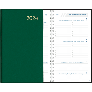 Agenda Visuplan 2024 perl - groen