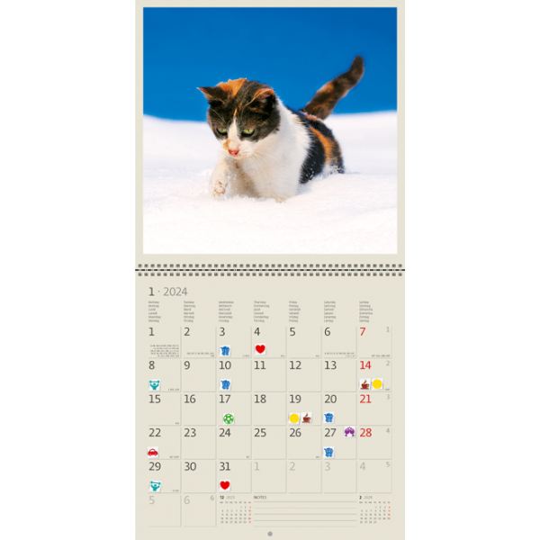 Muurkalender Cats 2024 - Januari