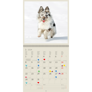 Muurkalender Dogs 2024 - Januari