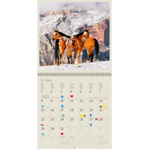 Muurkalender Horses 2024 - Januari