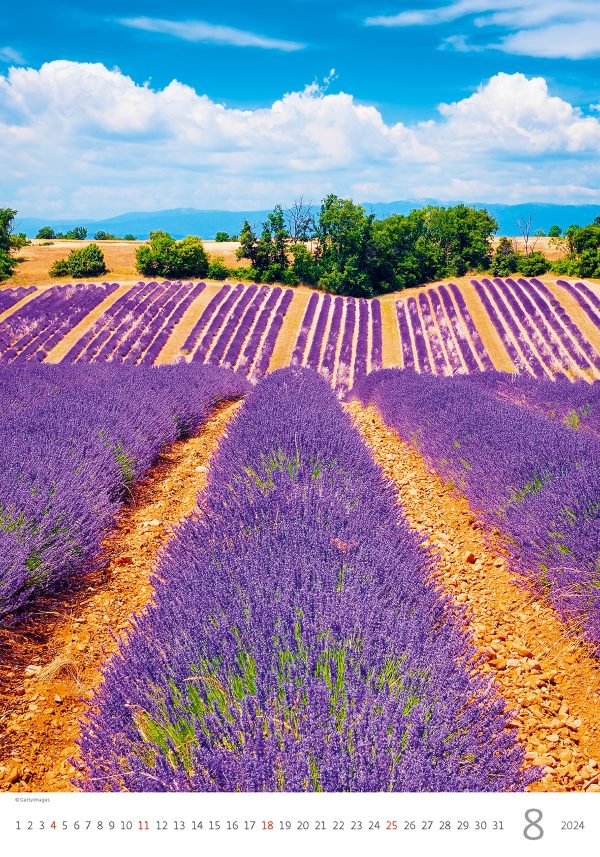 Kalender Provence 2024 - Augustus