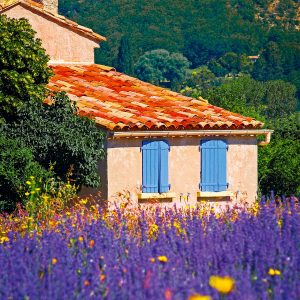 Kalender Provence 2024 - September