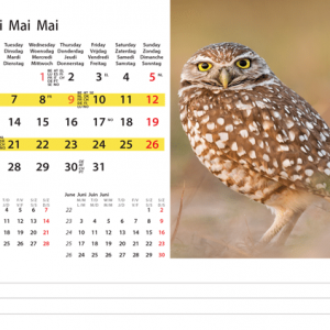 Kantoorkalender Wildlife 2024 - Mei