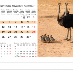 Kantoorkalender Wildlife 2024 - November