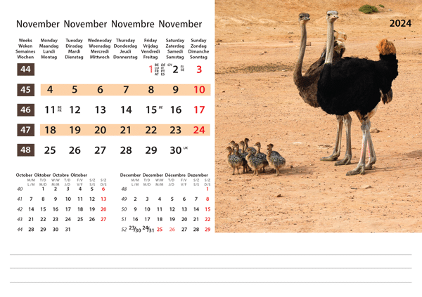 Kantoorkalender Wildlife 2024 - November