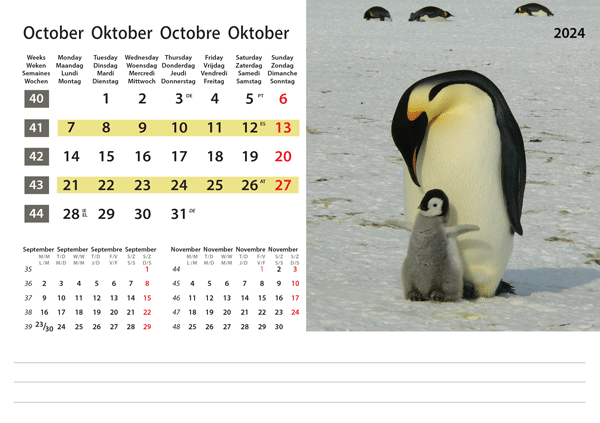 Kantoorkalender Wildlife 2024 - Oktober