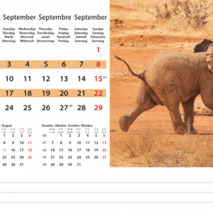 Kantoorkalender Wildlife 2024 - September