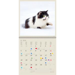 Muurkalender Cats 2026 - januari