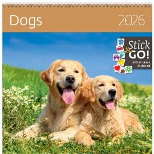 Muurkalender Dogs 2026