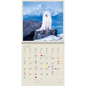 Muurkalender Dogs 2026 - januari