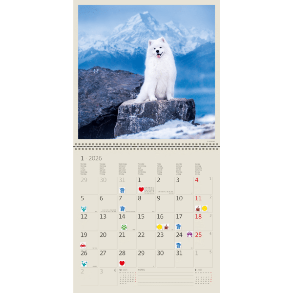 Muurkalender Dogs 2026 - januari