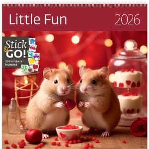 Muurkalender Little Fun 2026