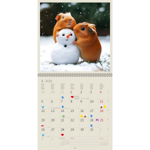 Muurkalender Little Fun 2026 - januari