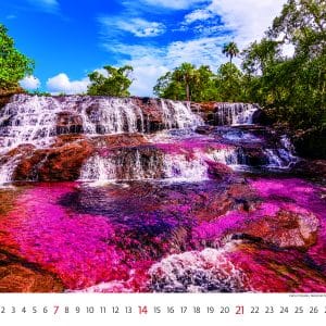 Muurkalender National Parks 2026 - juni