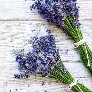 muurkalender Provence 2026 - februari