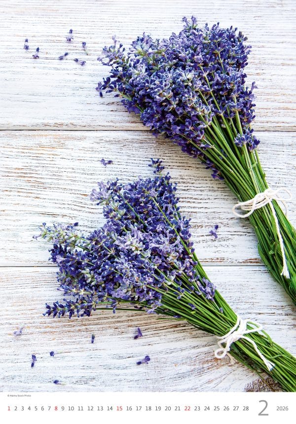 muurkalender Provence 2026 - februari
