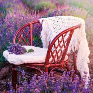 muurkalender Provence 2026 - maart