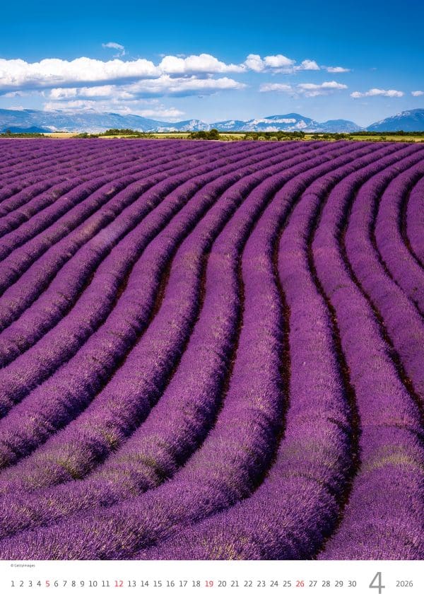 muurkalender Provence 2026 - april
