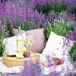 muurkalender Provence 2026 - juni