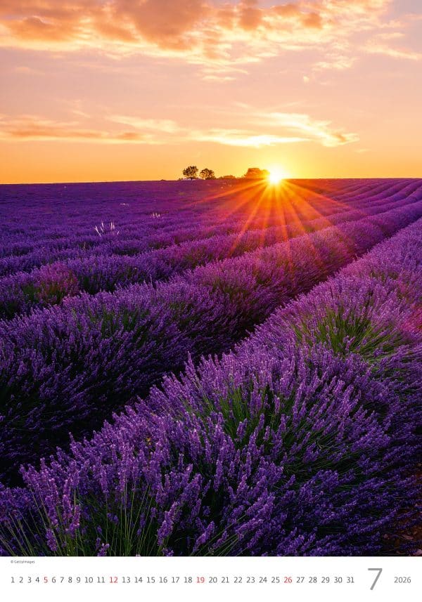 muurkalender Provence 2026 - juli