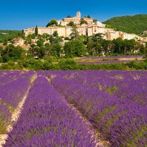 muurkalender Provence 2026 - augustus