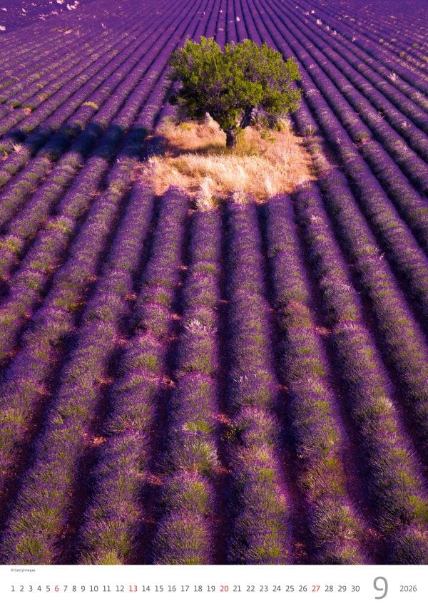 muurkalender Provence 2026 - september