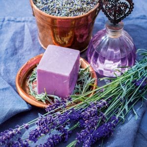 muurkalender Provence 2026 - november