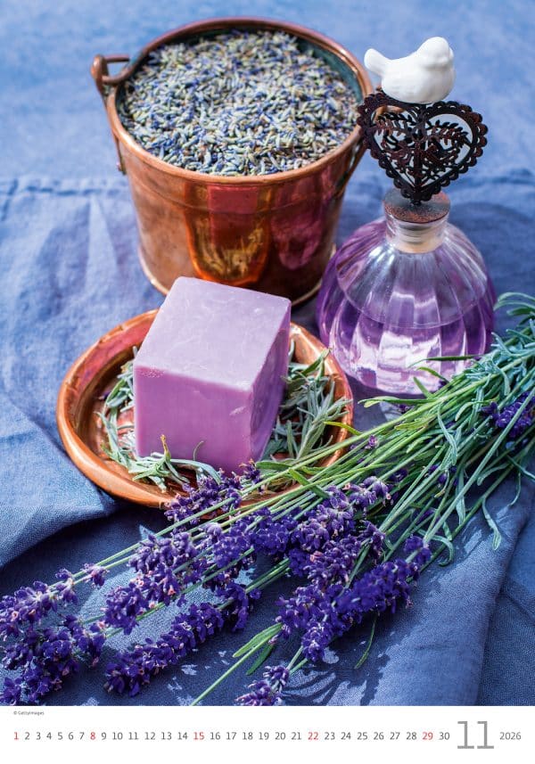 muurkalender Provence 2026 - november