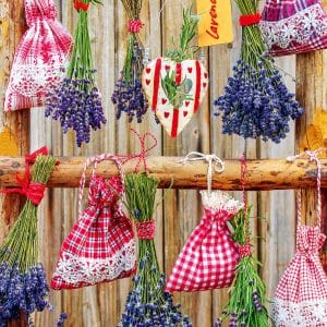 muurkalender Provence 2026 - december