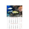 Muurkalender Ocean Wonders 2026