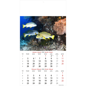 Muurkalender Ocean Wonders 2026