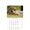 Muurkalender Wildlife 2026