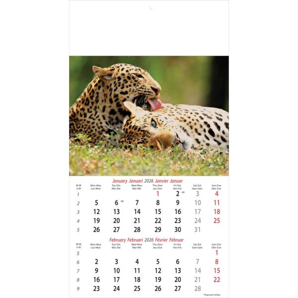Muurkalender Wildlife 2026