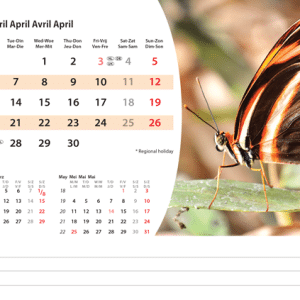 Kantoorkalender Animals 2026 - april