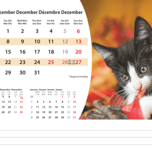 Kantoorkalender Animals 2026 - december