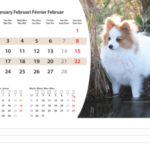 Kantoorkalender Animals 2026 - februari