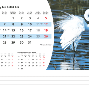 Kantoorkalender Animals 2026 - juli