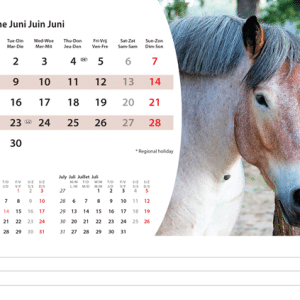 Kantoorkalender Animals 2026 - juni