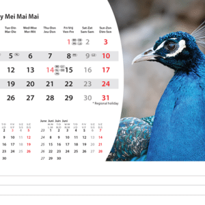 Kantoorkalender Animals 2026 - mei