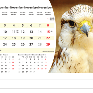 Kantoorkalender Animals 2026 - november