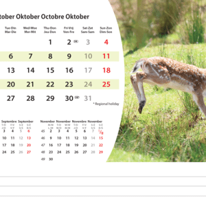 Kantoorkalender Animals 2026 - oktober