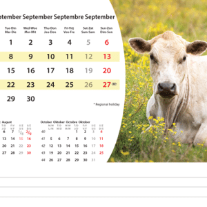 Kantoorkalender Animals 2026 - september