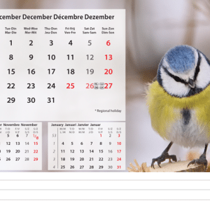 Bureaukalender Beautiful Nature 2026 - december