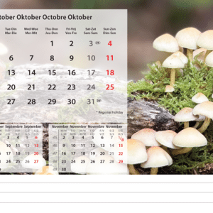 Bureaukalender Beautiful Nature 2026 - oktober