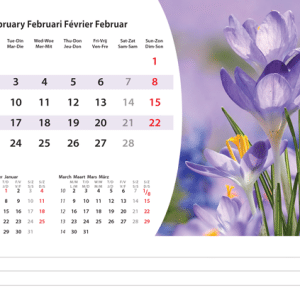 Bureaukalender Flowers 2026 - februari