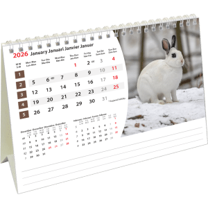 Kantoorkalender Animals 2026 - januari